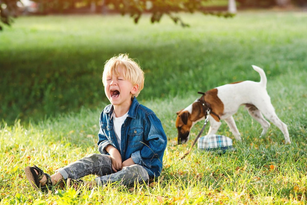 Help with Toddler Wee and Poo Withholding